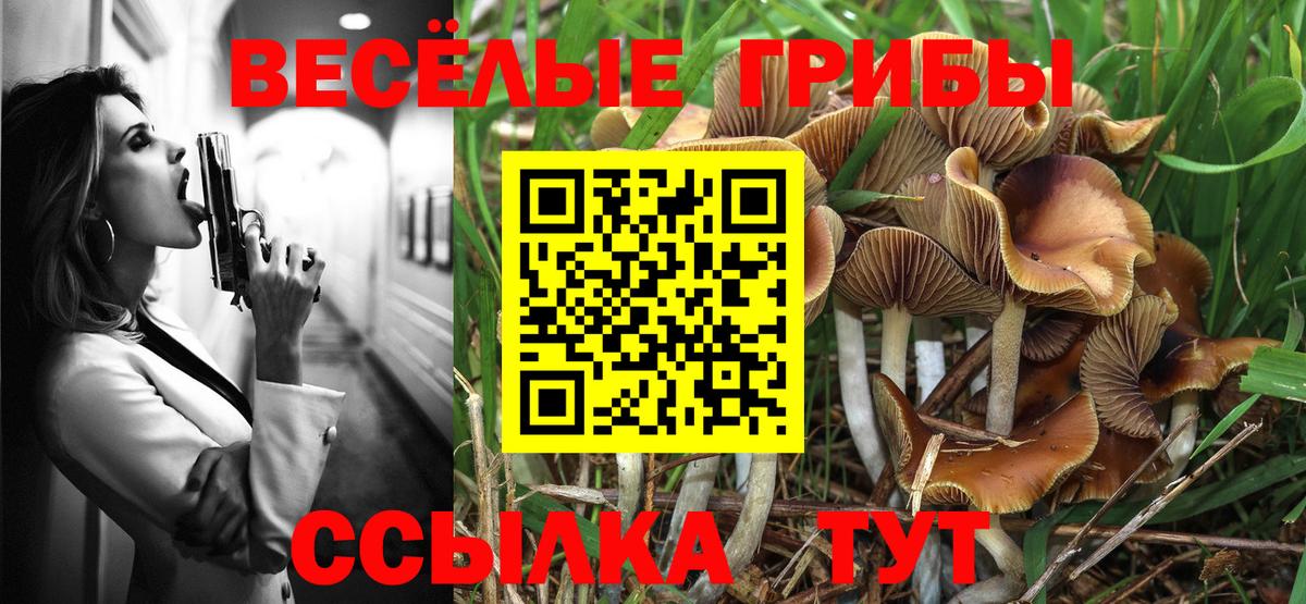 закладка  Вход с VPN  Людиново  Галлюциногенные грибы прущие грибы 
